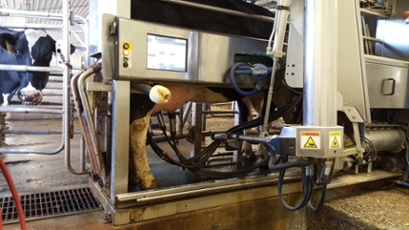 milking robot 20
